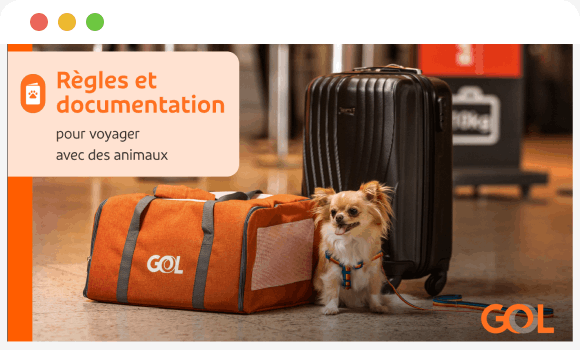 Guide de meures et documentation pour voyager avec des animaux de compagnie