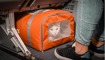 Dog&Cat Cabine