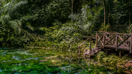 Imagem de um Rio em Bonito, Mato Grosso do Sul.